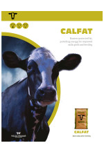 01834 calfat 6pp brochure 2020 usa thumbnail brochure listing
