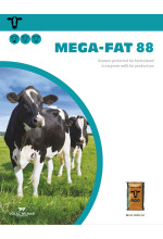 01834 usa mega fat 88 4pp brochure us size 2020 thumbnail brochure listing