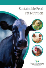 Sustainable feed fat nutrition thumbnail brochure listing