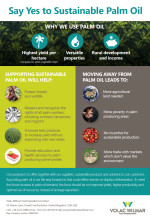 Palm oil infographic thumbnail brochure listing