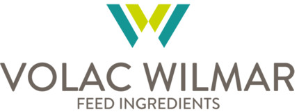 VW Logo