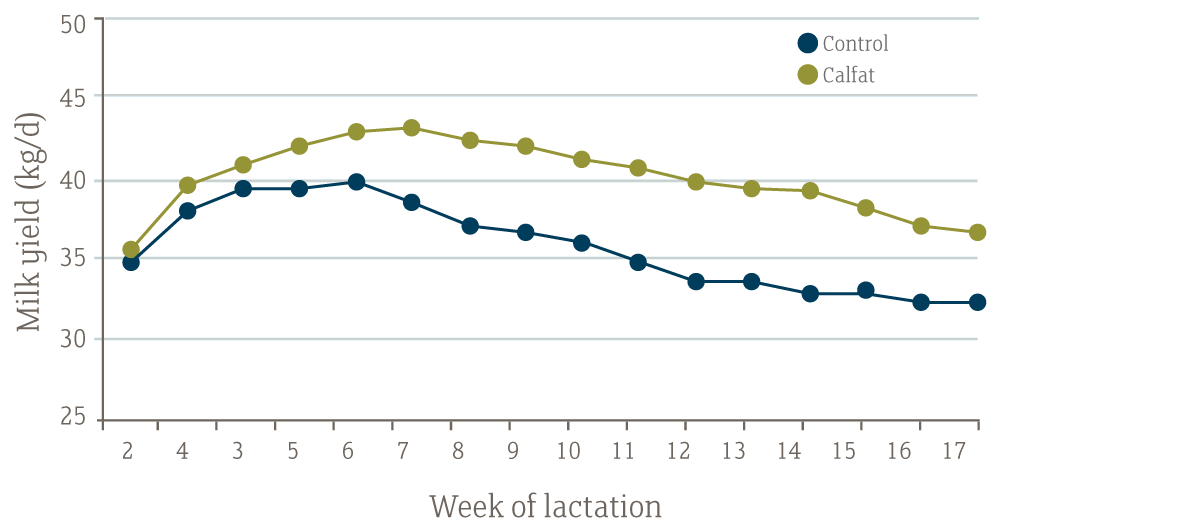 Milk Yield Calfat