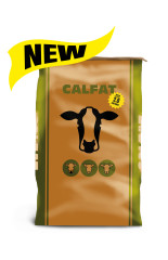 Calfat 2.0 new product listing